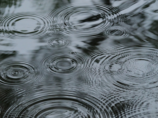 水たまりに落ちる雨