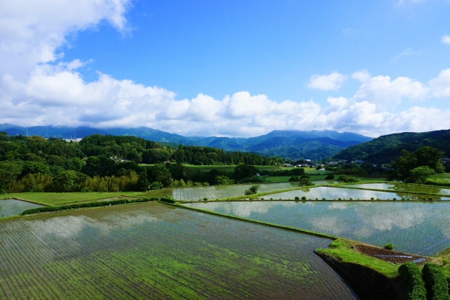 静岡県小山町馬伏川近くの山間の水田と西丹沢の山並